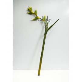 Hoa chuối Pháp màu GREEN 22-7681-GREEN