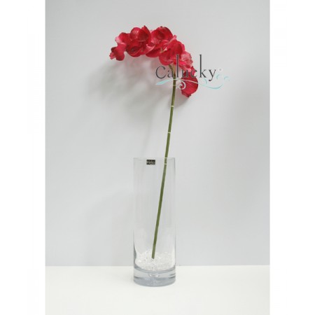 Hoa lan vanda 7 bông màu đỏ chấm bi 22-8113-001-RED  