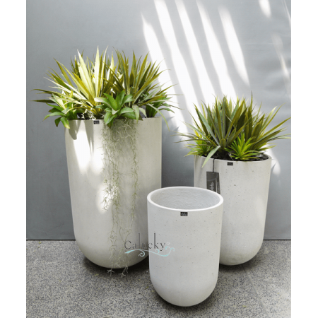 Chậu Lime Concrete 08-2902