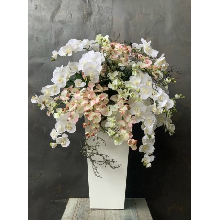 Chậu Gỗ Trắng Trồng Hoa Lan