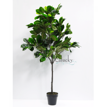 Cây mẫu đơn cao 170cm 34-A251KA