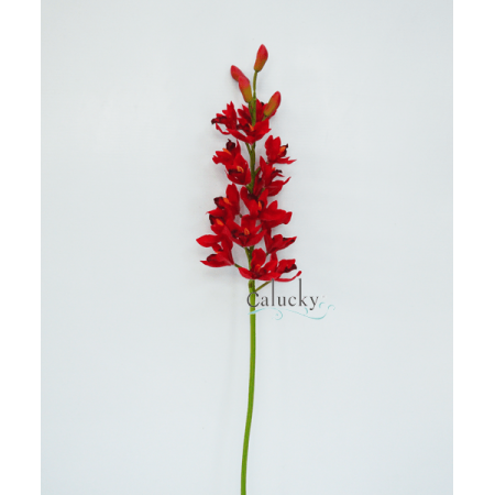 Hoa địa lan nhỏ màu RED 56-LH8022-RD